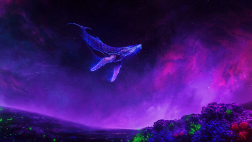 1457586 (a): :1920x1080